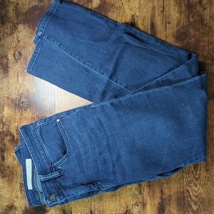 Anthropologie Pilcro & the Letterpress STET Skinny Jeans